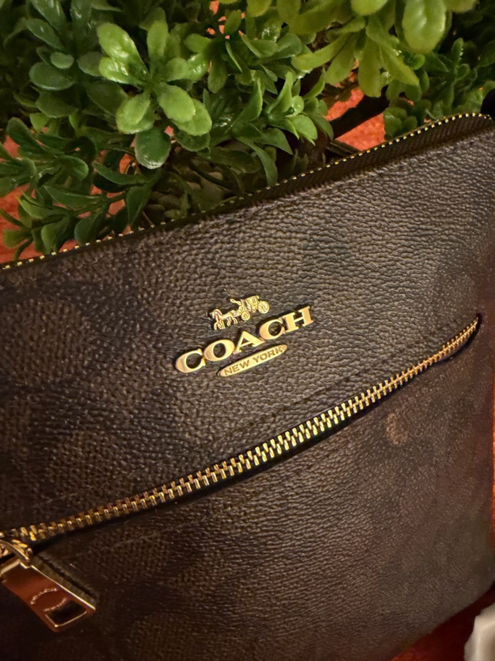 Coach Brown Signature Crossbody with Cherry Charm - Picture 5 of 16
